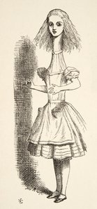 アリスは、ルイスキャロル（1832〜98）が1891年に発表した「不思議の国のアリスアドベンチャー」から、タラーを育てています。